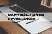 华体会官方网站-斯洛伐克国家队正努力争取在欧洲预选赛中前进