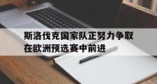 华体会官方网站-斯洛伐克国家队正努力争取在欧洲预选赛中前进